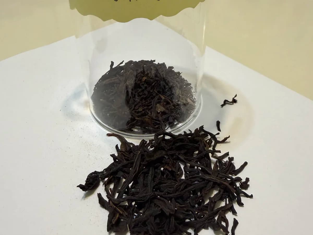 Cup of dancong oolong